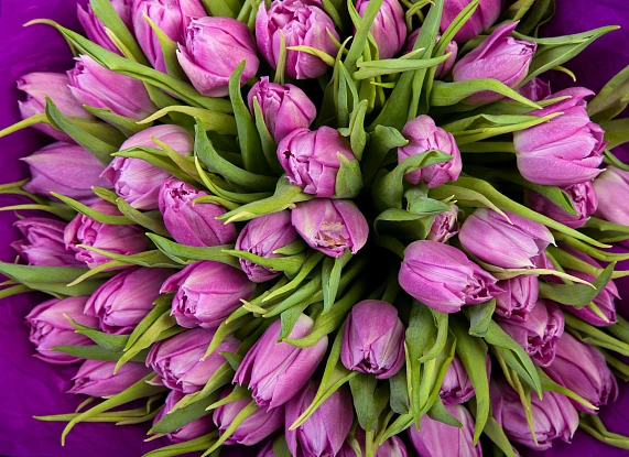 Фотосъемка цветов и букетов 14