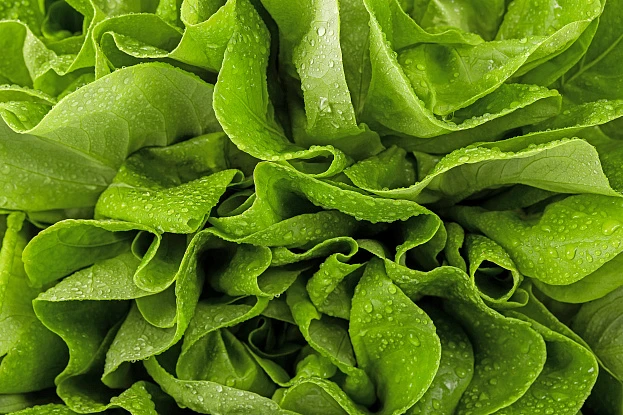 Съемка еды и напитков 3