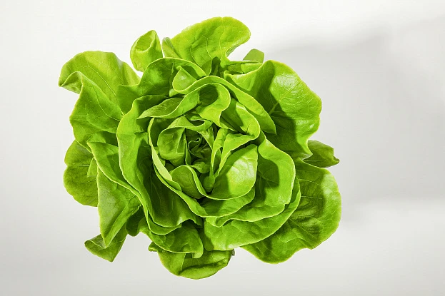 Съемка еды и напитков 9